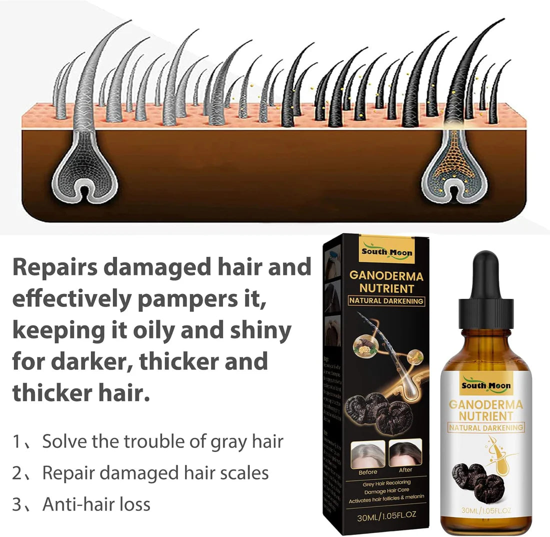 Beauty Lights Batana Oil | Hair Darkening, Anti-Grey & Growth Miracle